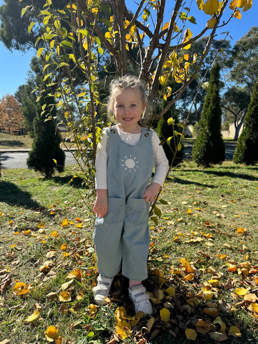 Denim Overalls